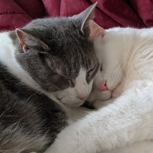 Meet your Posher, Erika